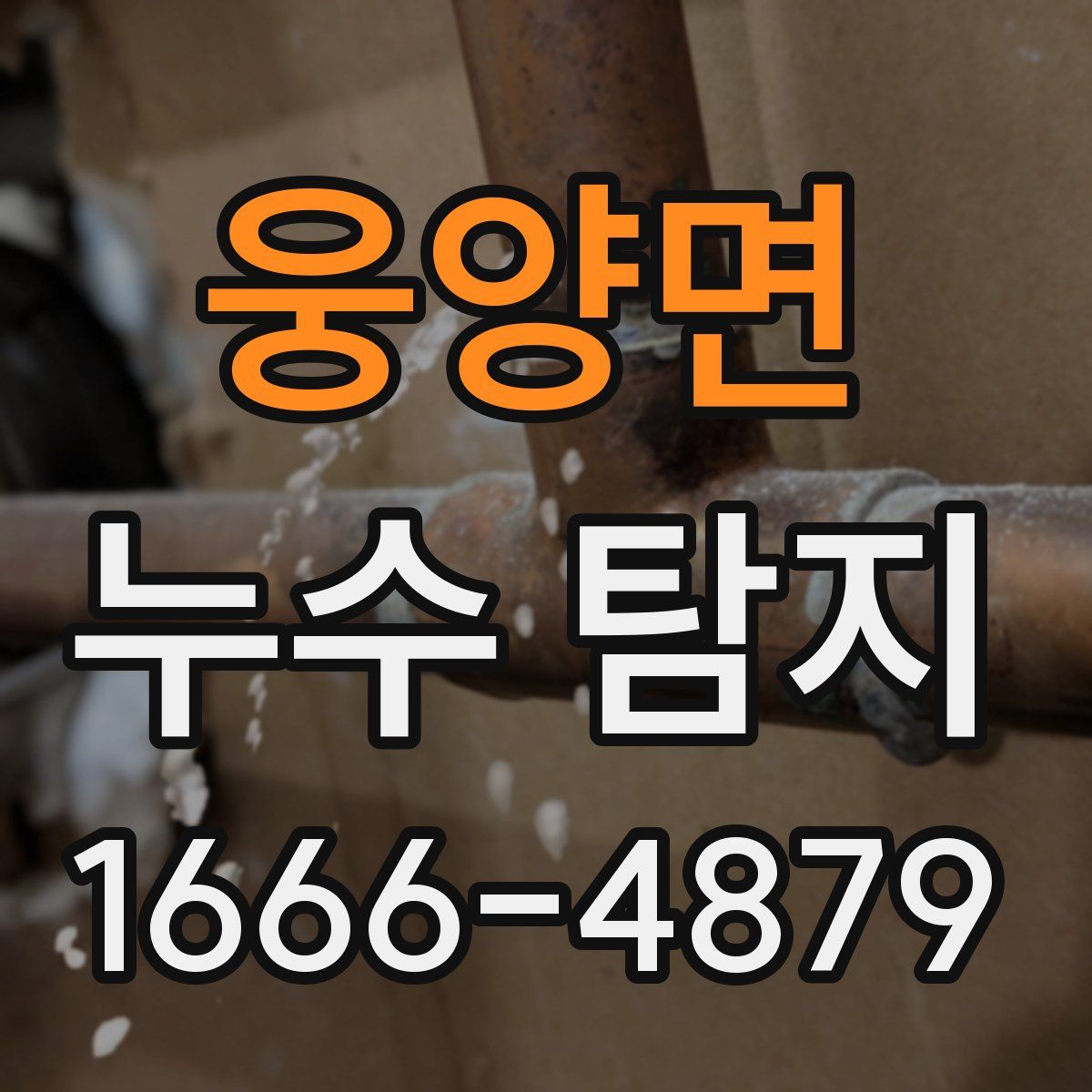 웅양면 누수 탐지