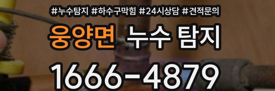 웅양면 누수 탐지