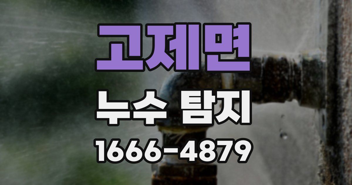 고제면 누수 탐지