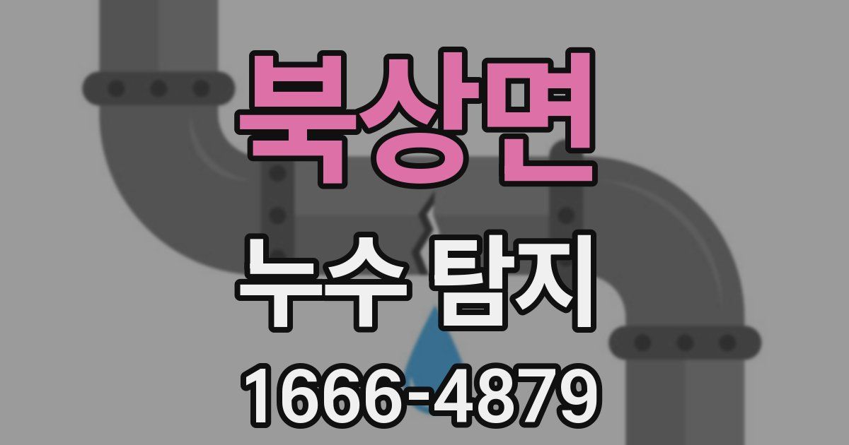 북상면 누수 탐지