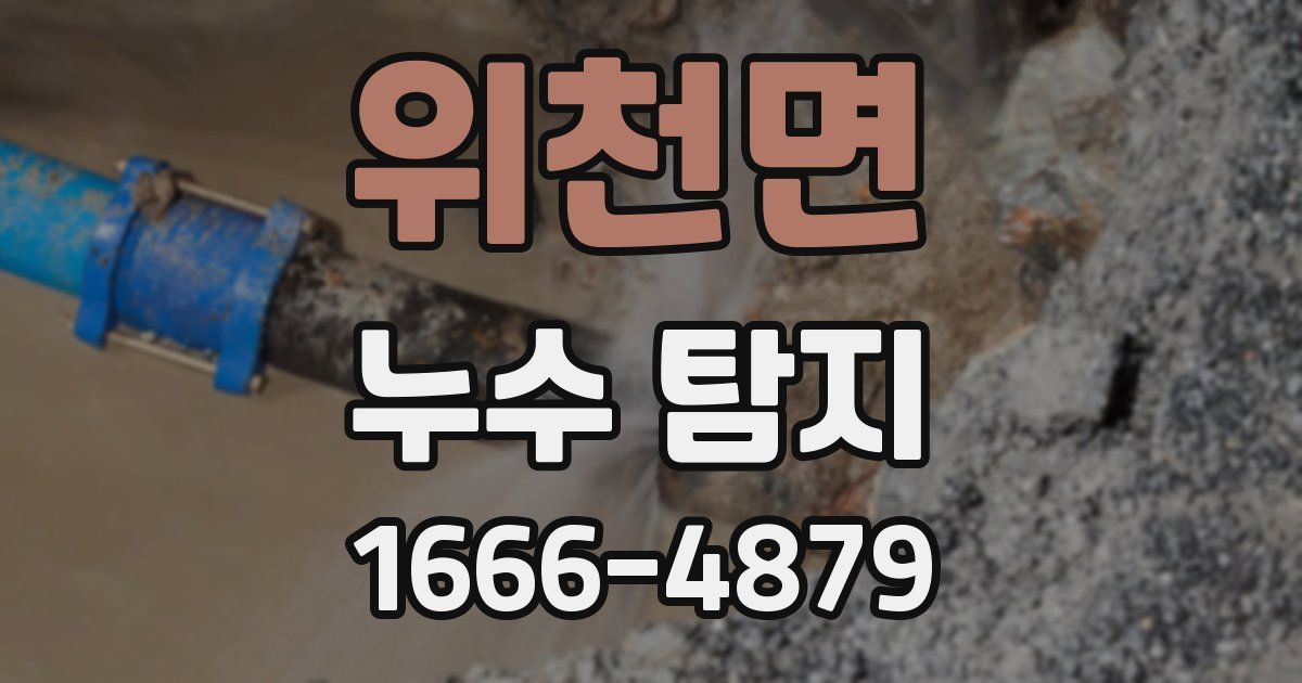 위천면 누수 탐지