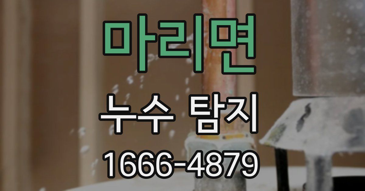 마리면 누수 탐지