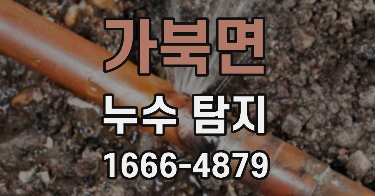 가북면 누수 탐지