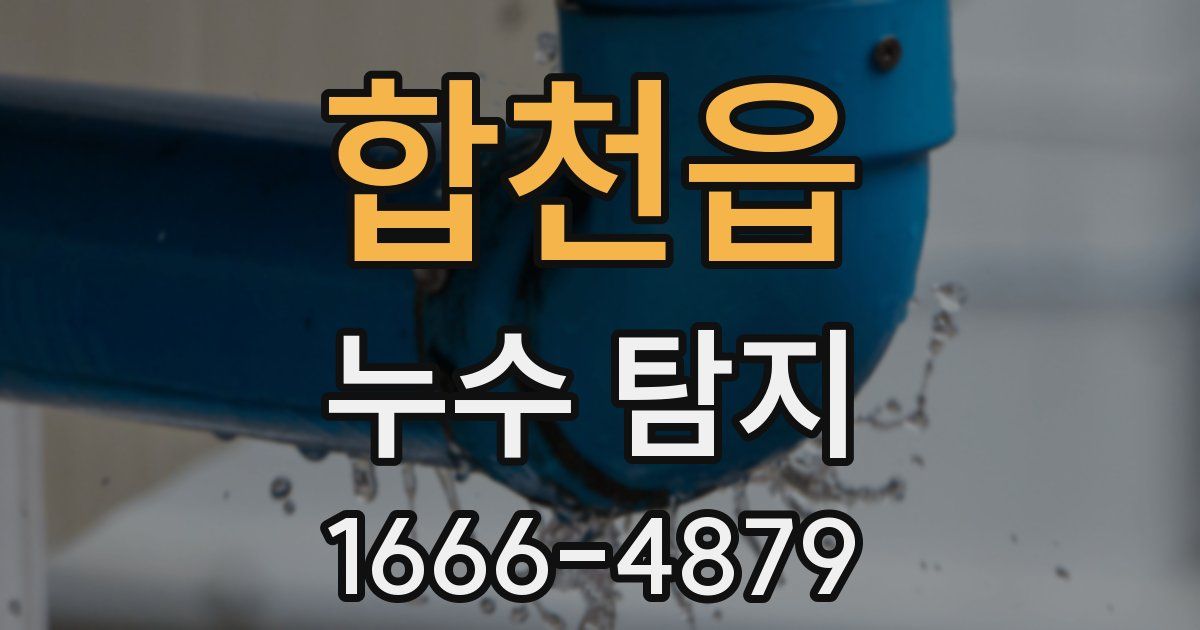 합천읍 누수 탐지