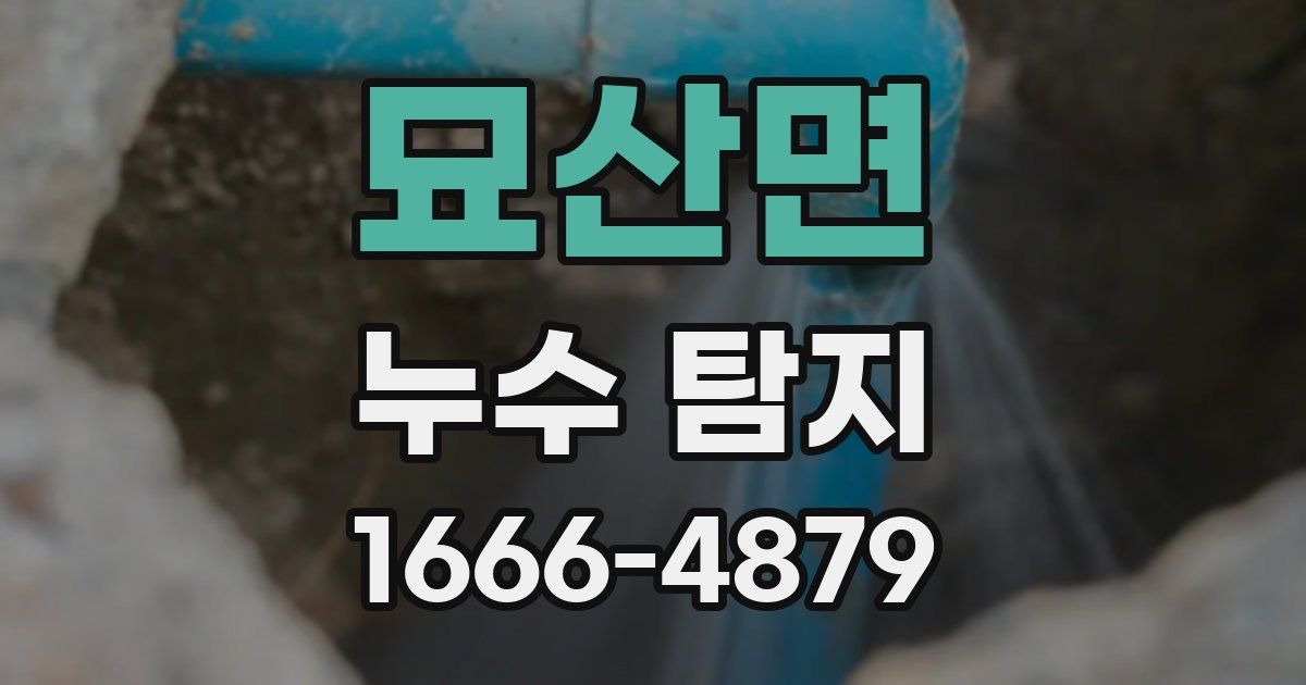 묘산면 누수 탐지