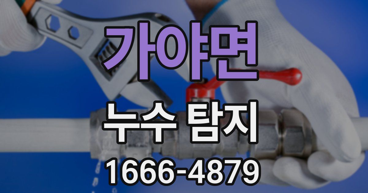 가야면 누수 탐지