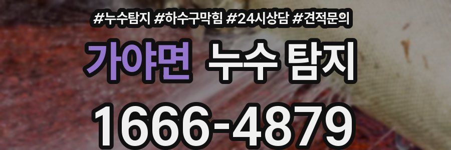 가야면 누수 탐지