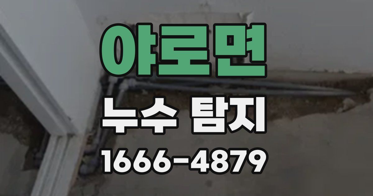 야로면 누수 탐지