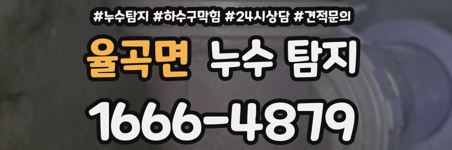 율곡면 누수 탐지