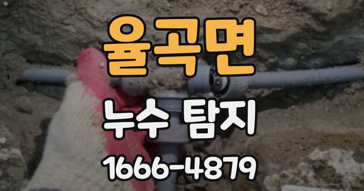 율곡면 누수 탐지