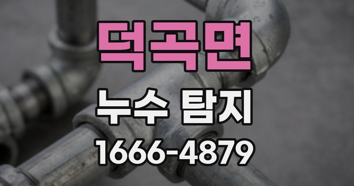 덕곡면 누수 탐지