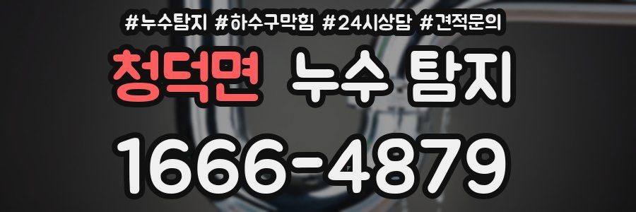 청덕면 누수 탐지