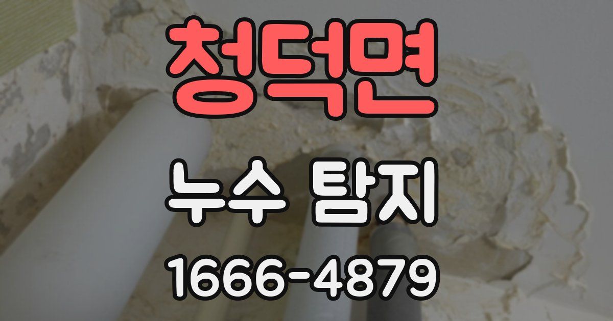 청덕면 누수 탐지