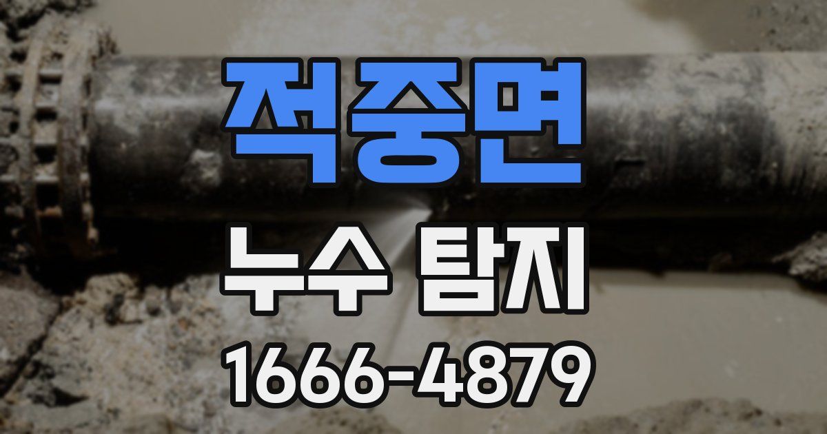 적중면 누수 탐지