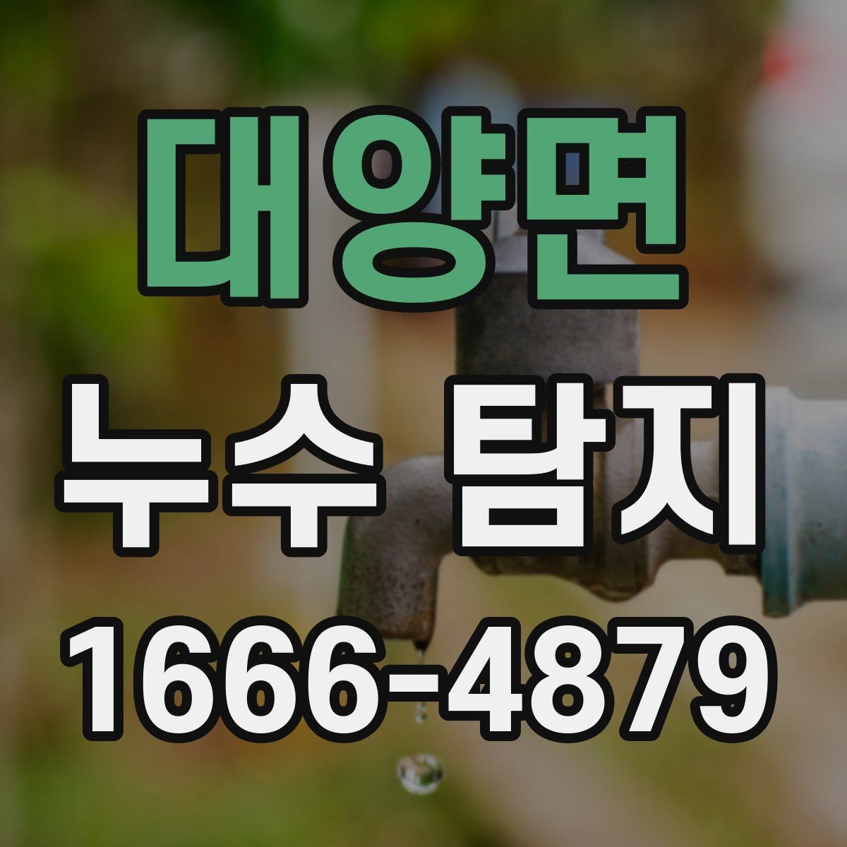 대양면 누수 탐지 업체 후기 읽는 방법