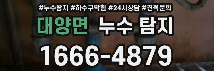 대양면 누수 탐지