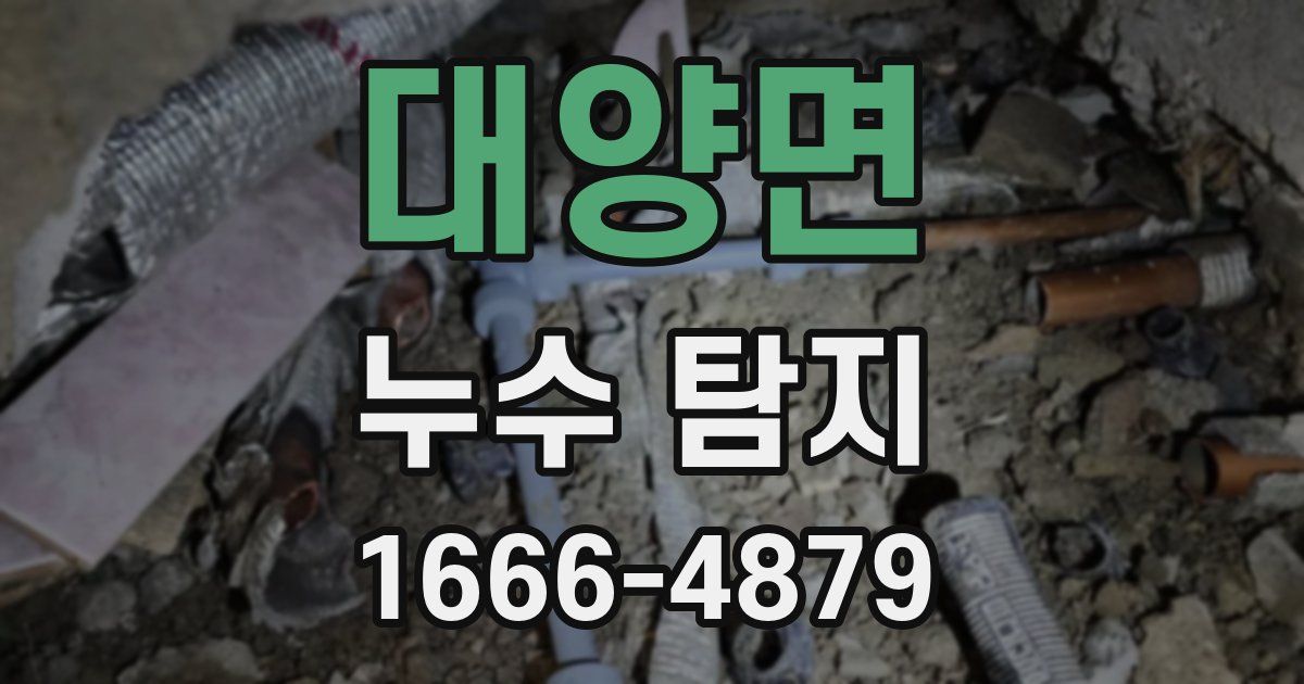 대양면 누수 탐지