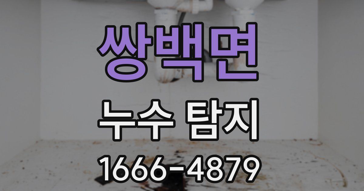 쌍백면 누수 탐지
