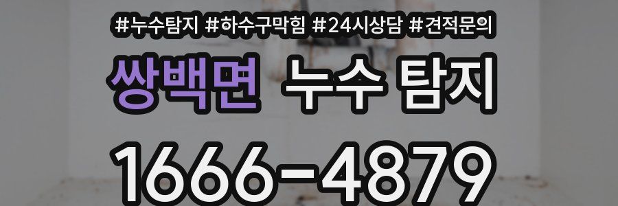 쌍백면 누수 탐지