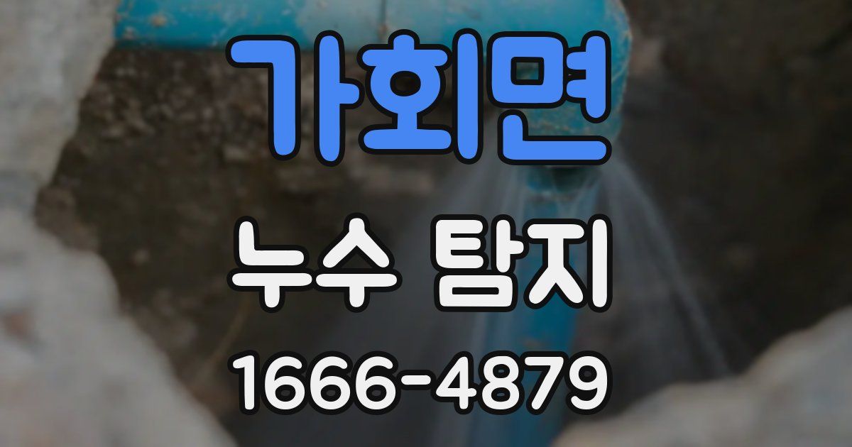 가회면 누수 탐지