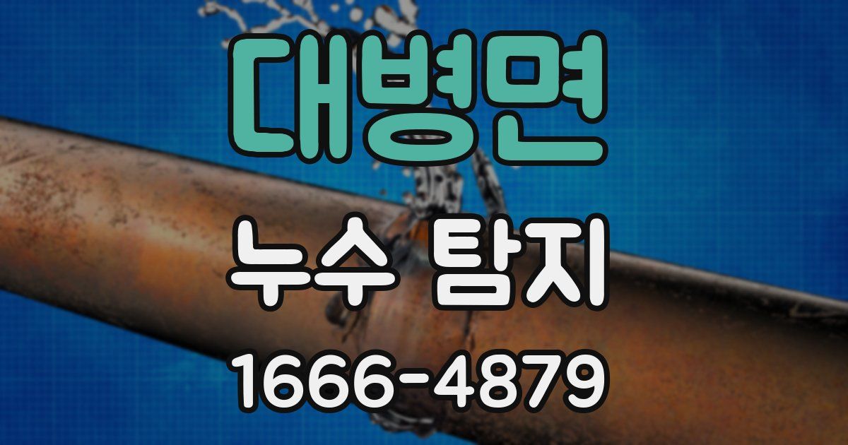 대병면 누수 탐지