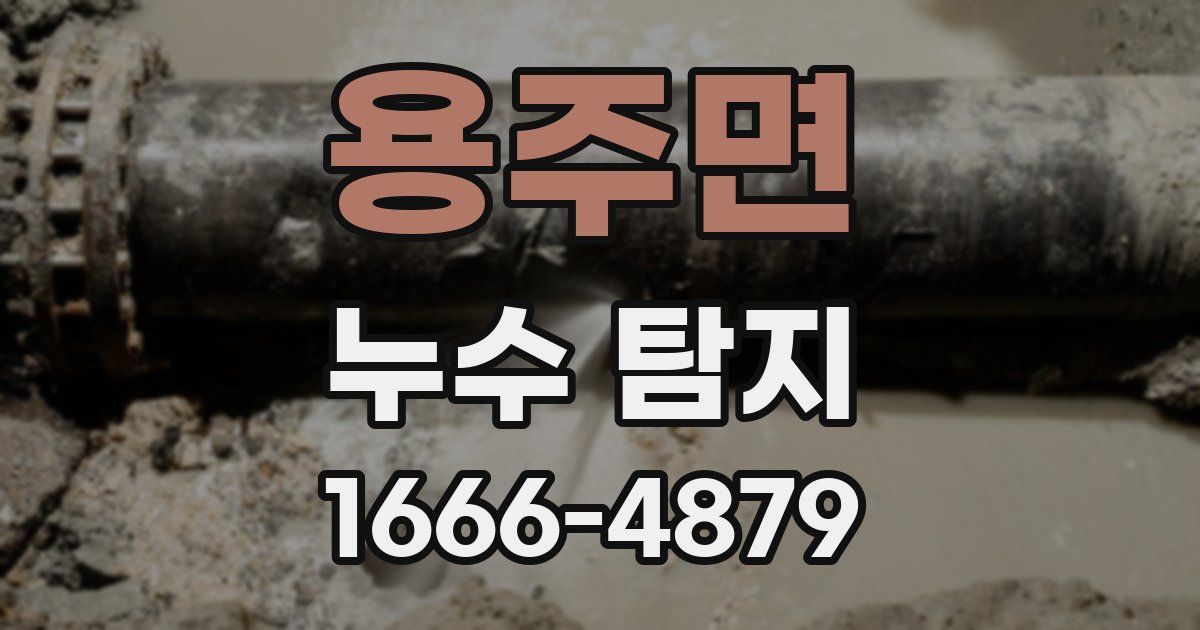 용주면 누수 탐지