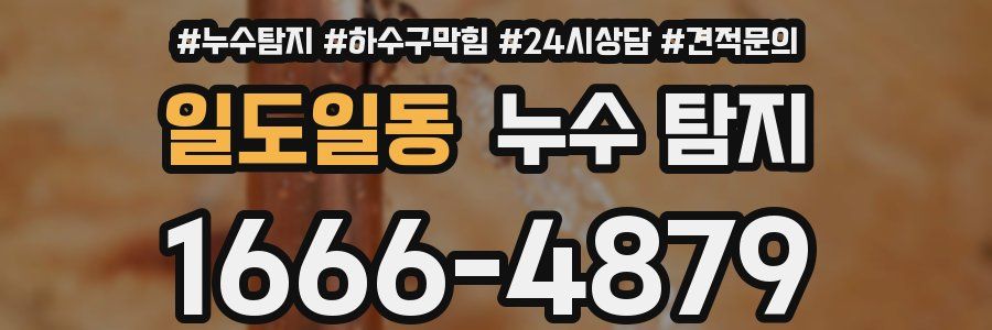 일도일동 누수 탐지