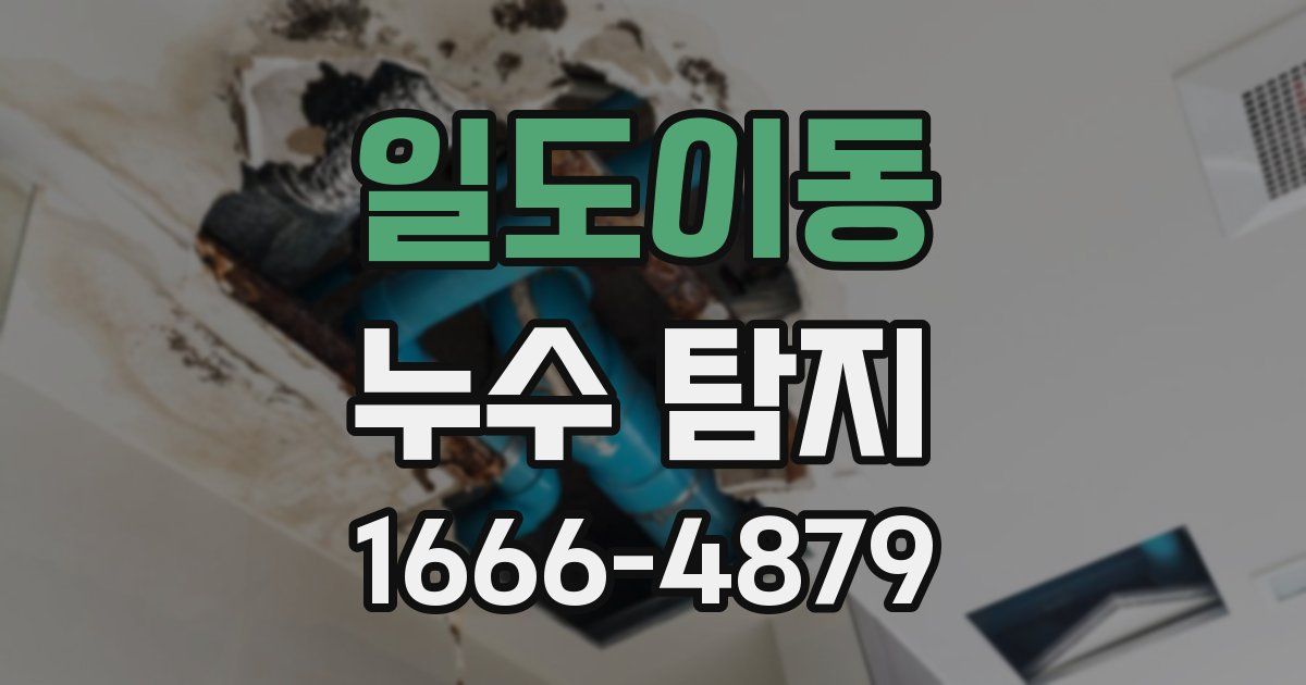 일도이동 누수 탐지