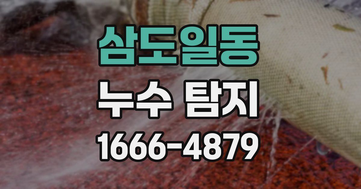 삼도일동 누수 탐지