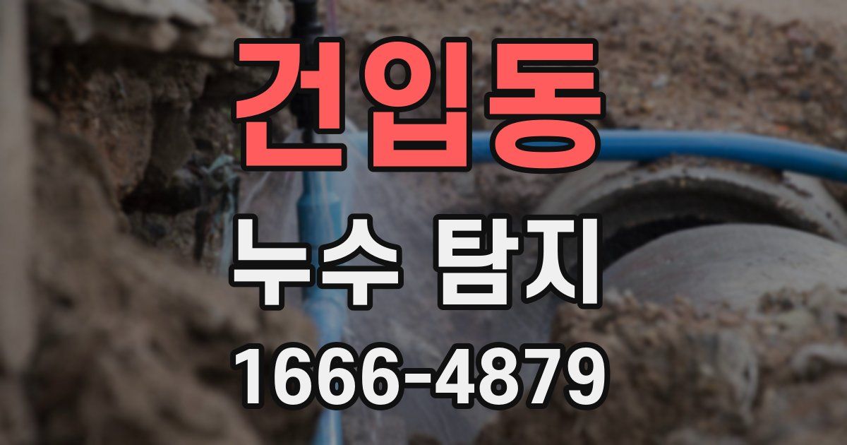 건입동 누수 탐지