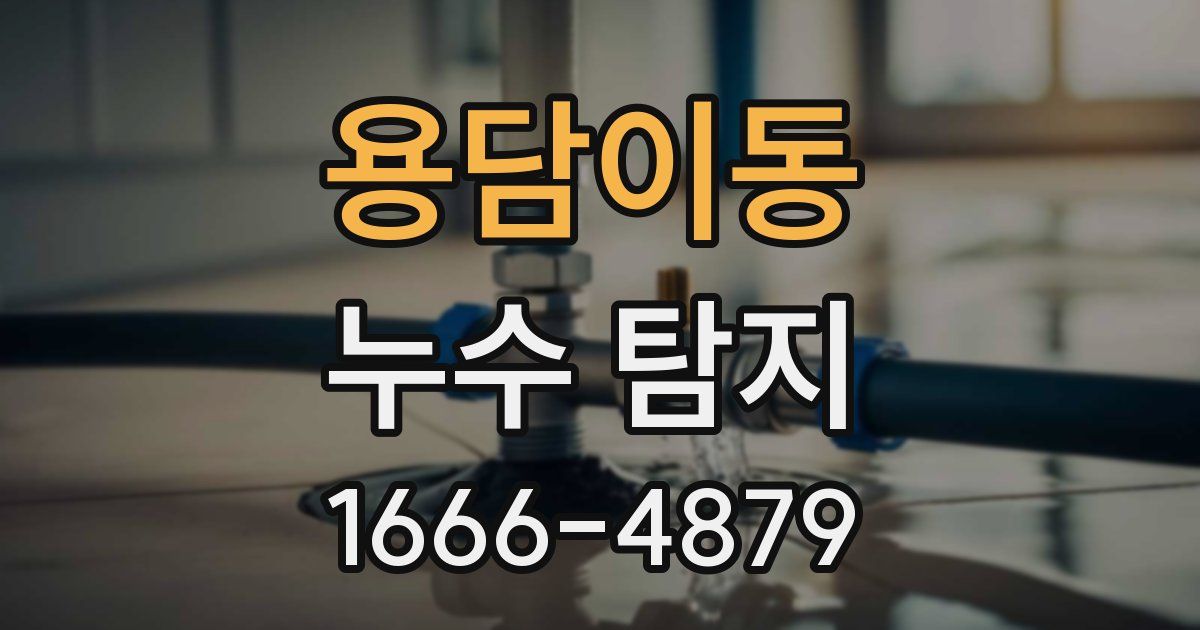 용담이동 누수 탐지