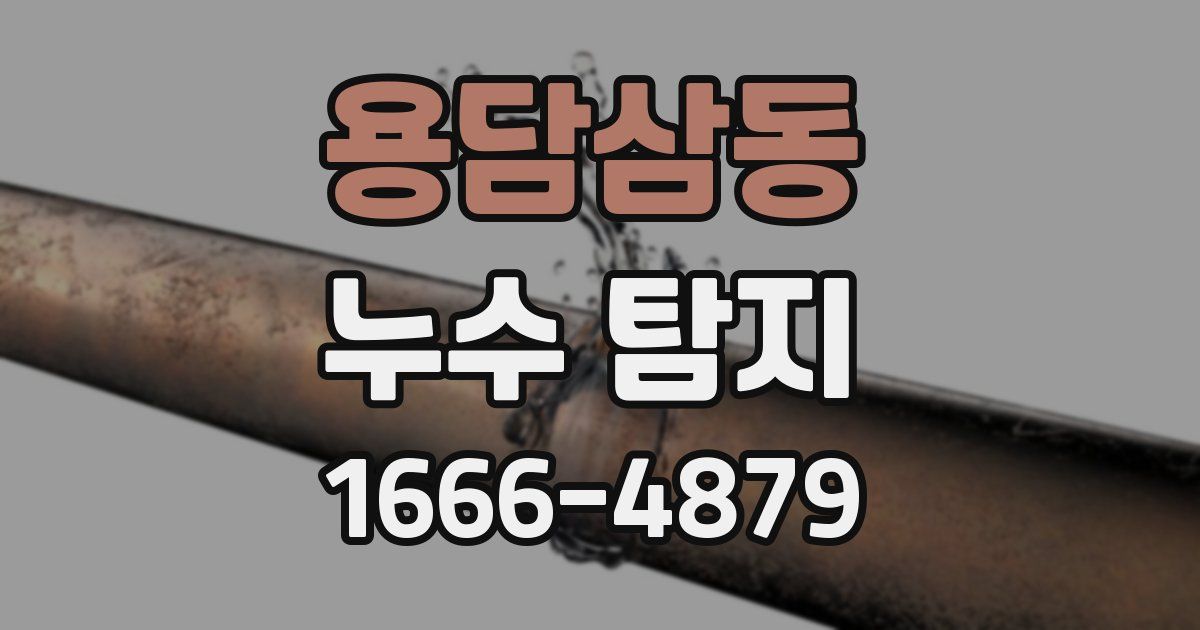 용담삼동 누수 탐지