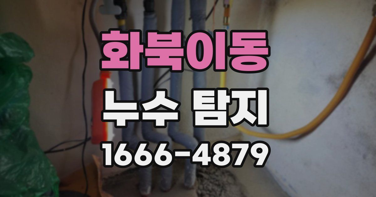 화북이동 누수 탐지