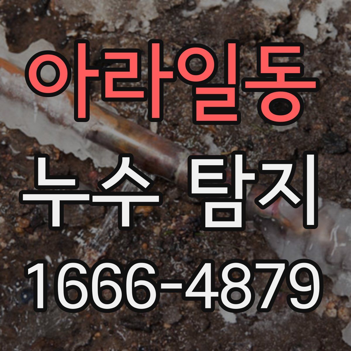 아라일동 누수 탐지