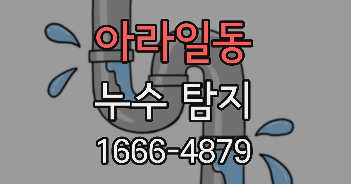 아라일동 누수 탐지