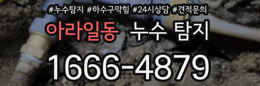 아라일동 누수 탐지