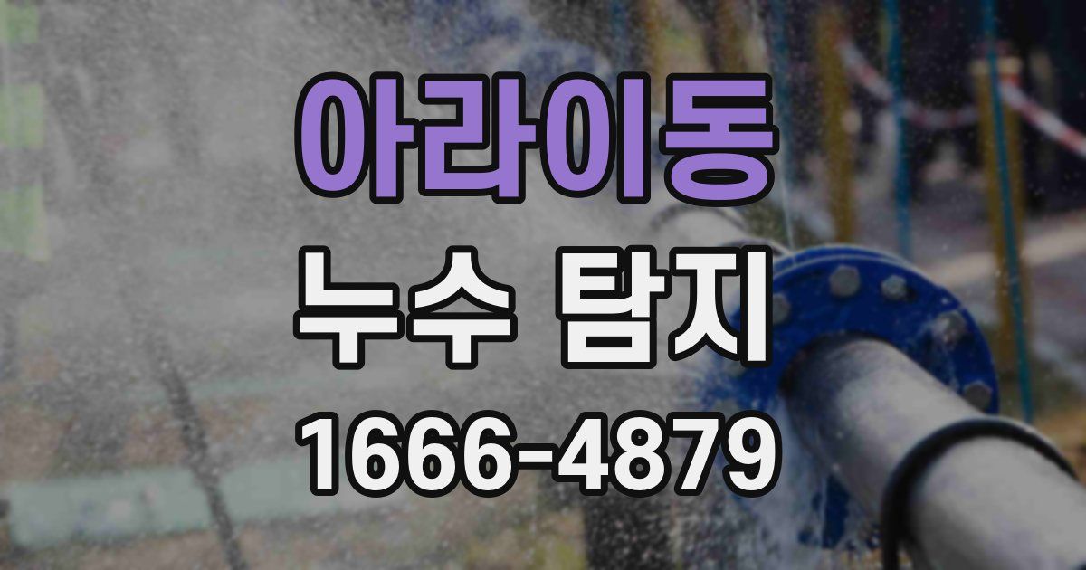 아라이동 누수 탐지