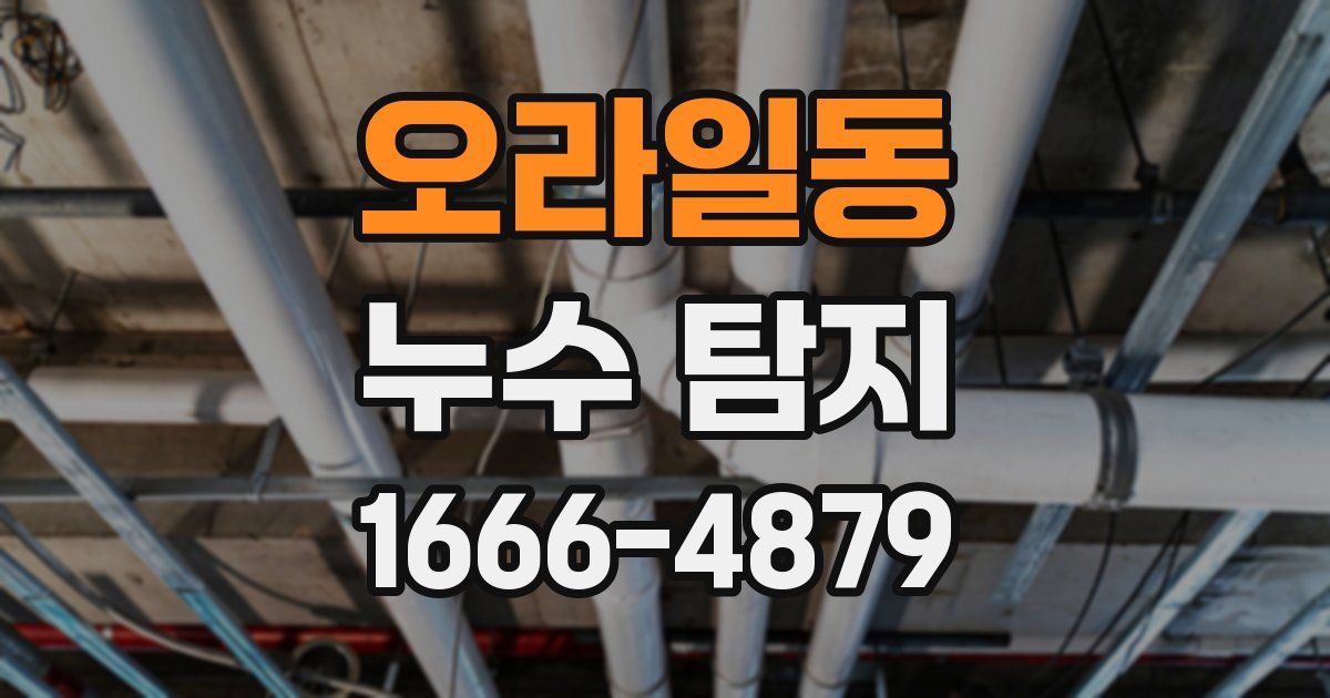 오라일동 누수 탐지