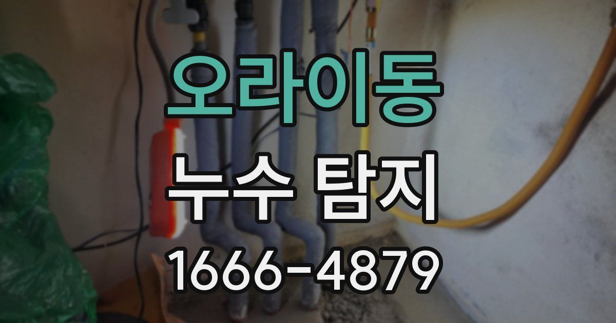 오라이동 누수 탐지