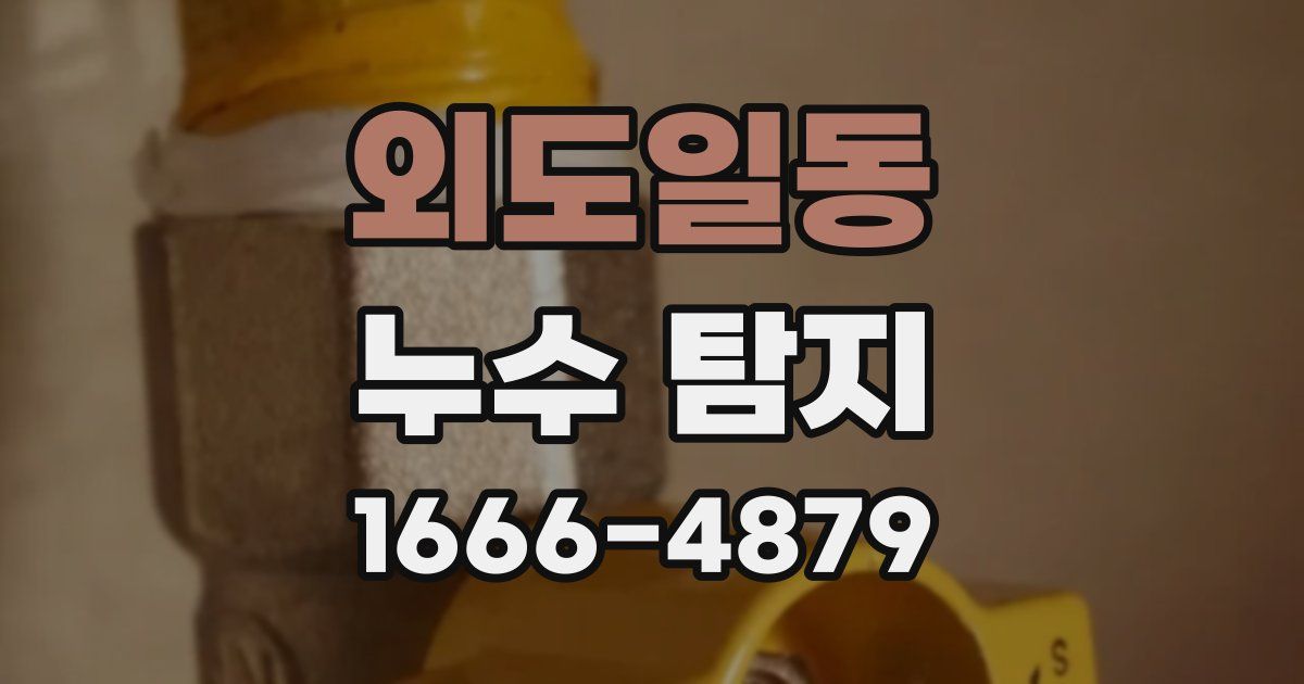 외도일동 누수 탐지