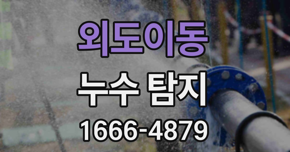 외도이동 누수 탐지