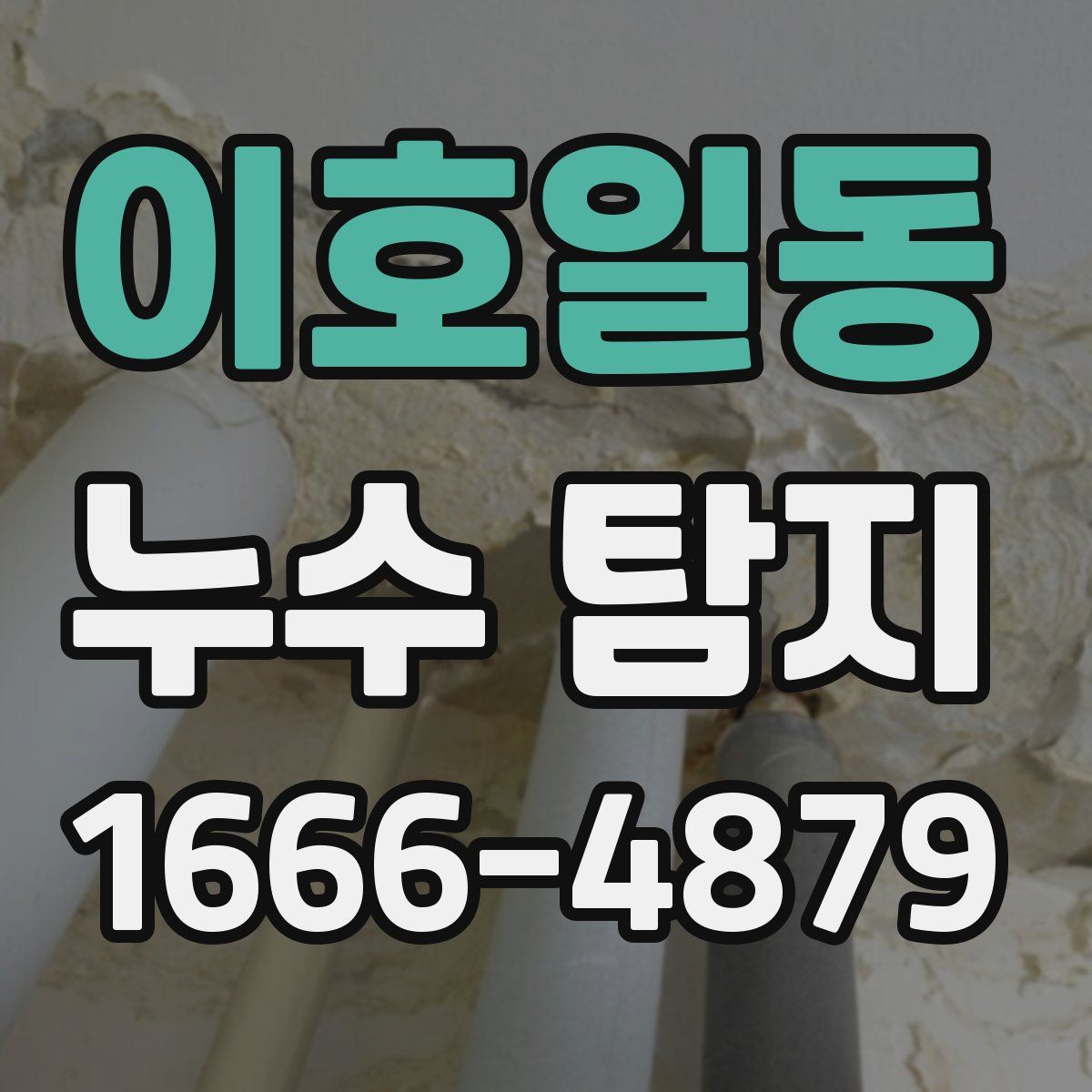 이호일동 누수 탐지