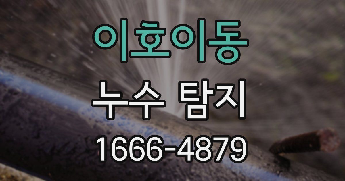 이호이동 누수 탐지