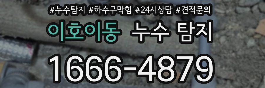 이호이동 누수 탐지