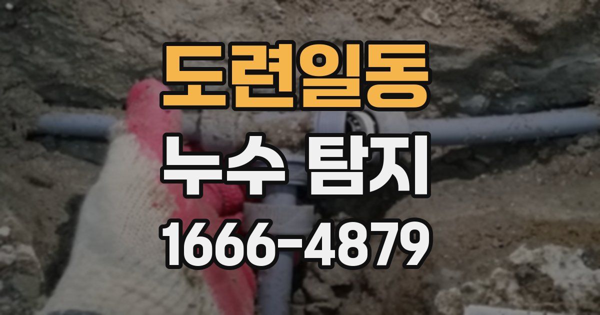도련일동 누수 탐지