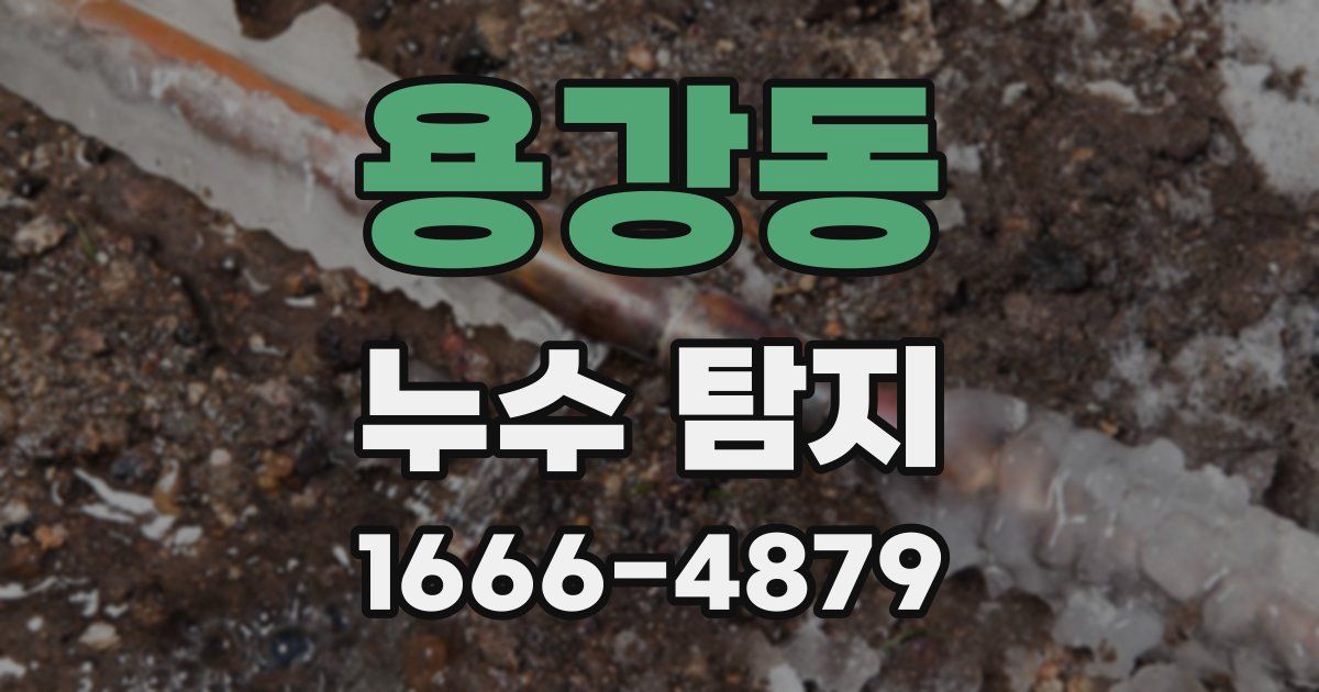 용강동 누수 탐지