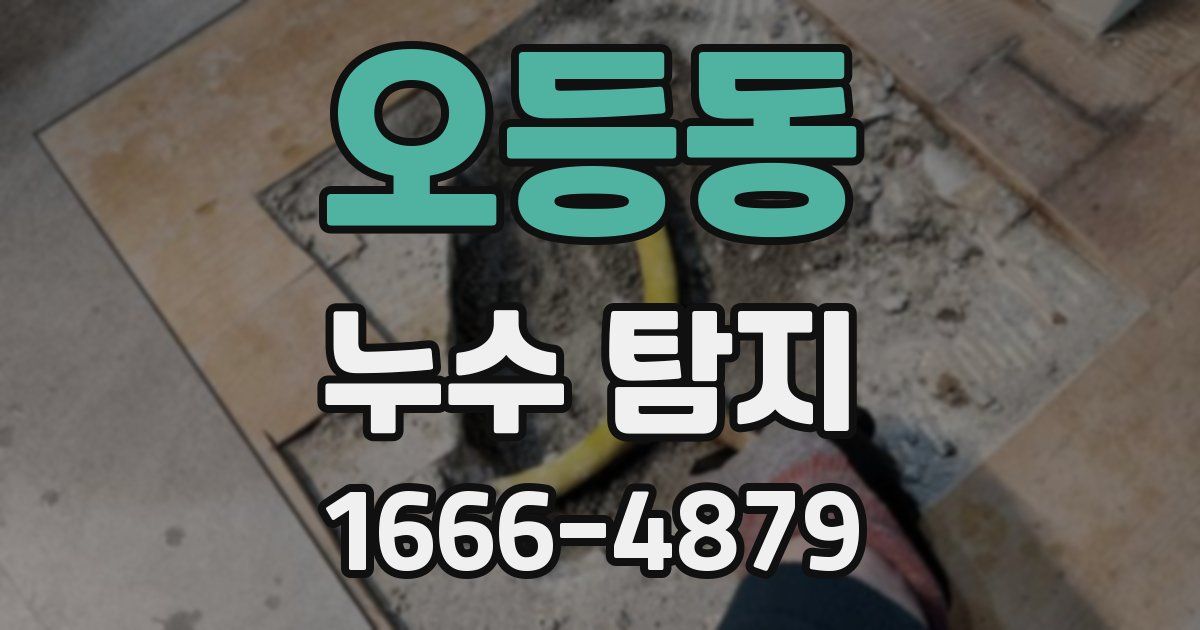 오등동 누수 탐지