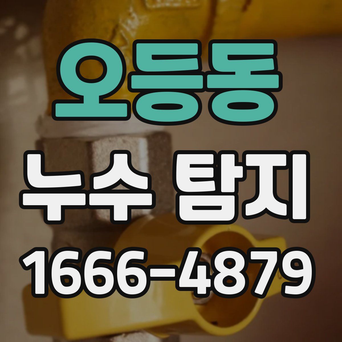 오등동 누수 탐지