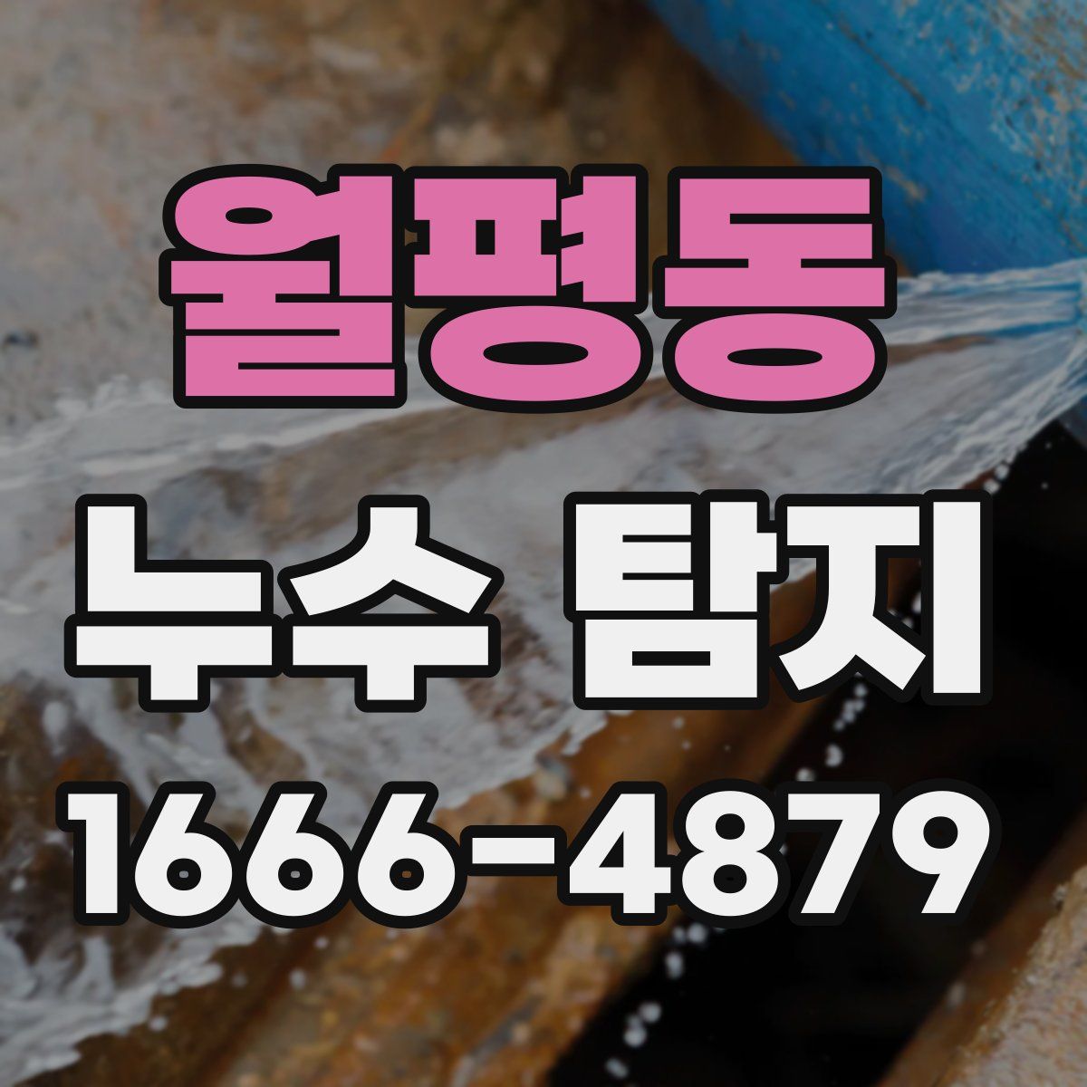 월평동 누수 탐지