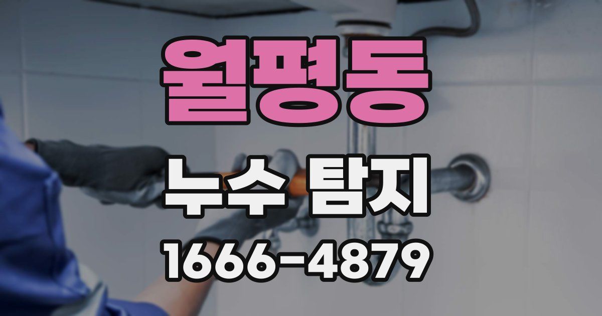 월평동 누수 탐지